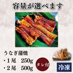 国産うなぎ 炭火焼 250g 1尾 タレ付  【 うなぎ 】