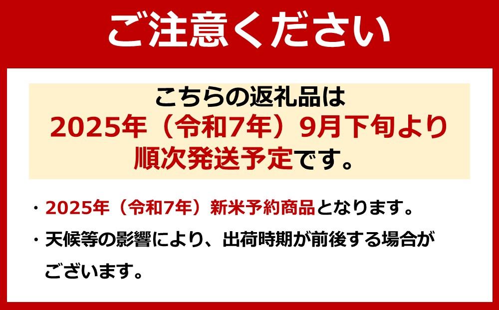 頒布会【令和7年新米～】精米5kg×3回 南魚沼産コシヒカリ※令和7年9月下旬から順次発送＜3ヶ月定期便＞農家直送_AG