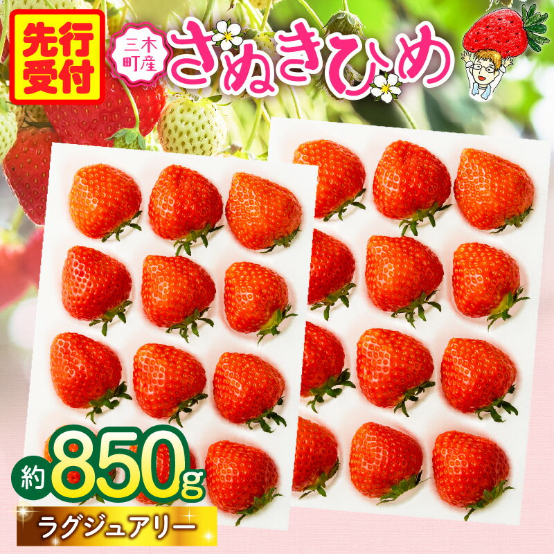 【ふるさと納税】【先行予約】苺音ラグジュアリー～冬の大粒さぬきひめいちご～ 約850g スイーツ いちご ストロベリー さぬきひめ 苺 冷蔵 フルーツ 旬 果物 香川県 デザート 青果物 先行予約 季節限定 旬 おすすめ 三木町 送料無料