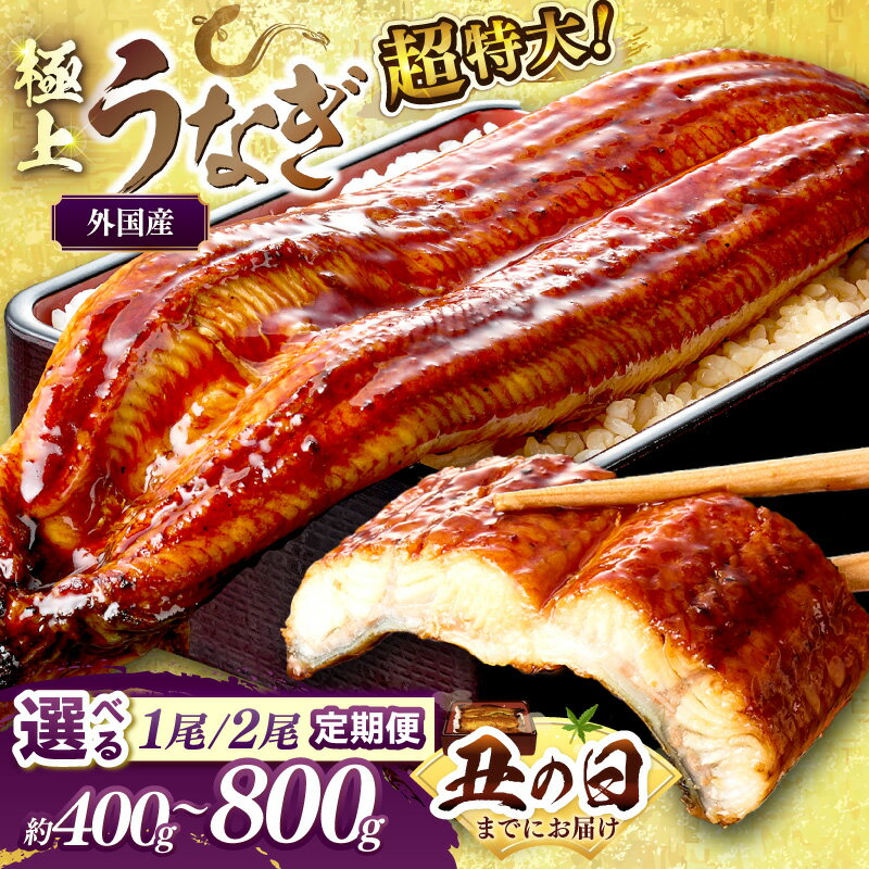 【ふるさと納税】超特大・味自慢 超特大！ふっくら肉厚！うなぎ蒲焼 400g～800g 1尾 2尾 定期便 3回 毎月 隔月 選べる 内容量 お届け回数 ふるさと納税 鰻 外国産 ウナギ 肉厚 蒲焼 鰻の蒲焼 有頭 蒲焼き