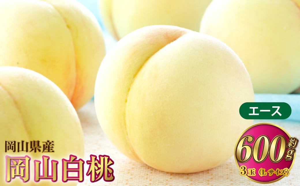 
            岡山白桃 エース 3玉×約200g（Lサイズ） 計約600g 岡山県産【2026年7月上旬～8月下旬発送予定】 白桃 桃 もも モモ
          