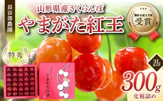 
                  【希少数量限定】農林水産大臣賞受賞 長谷部農園 やまがた紅王 300g 化粧詰め 特秀 3Lサイズ 桜桃 山形県産 さくらんぼ 《先行予約2026年度6月発送開始》 FSY-2259
                