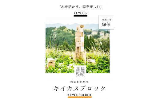 熊本県 御船町 キイカスブロック 30個 木のおもちゃ 森のバランスゲーム 《30日以内に出荷予定(土日祝除く)》 KEYCUSプロジェクト事務局 國武林業