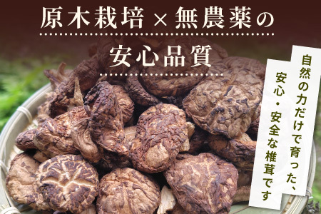 無農薬栽培 原木しいたけ！とよくに清流 ほししいたけ 200g 椎茸 シイタケ 野菜 バーベキュー 肉厚-017