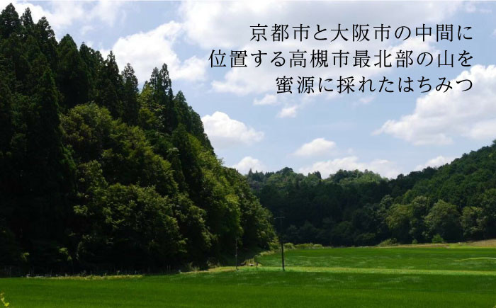 お取り寄せ はちみつ 蜂蜜 ハチミツ 高級