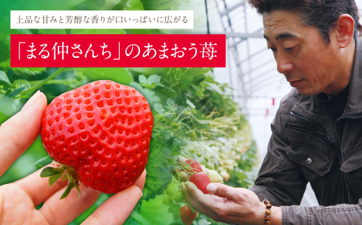 アルギット農業「あまおう苺」(4パック)