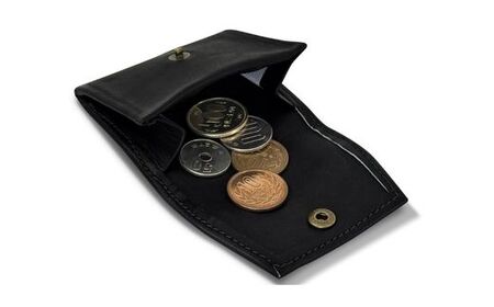 AO77　宍粟牛 コインケース【 財布 小銭入れ ミズノテクニクス ミズノ グラブ グローブ 宍粟牛 牛革 限定 ふるさと納税限定 シンプル スマート ビジネス 就職 祝い 贈り物 プレゼント】