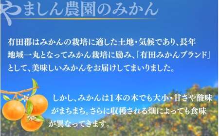 ＼光センサー選別／極 有田みかんプレミアム 約3.5kg【選りすぐりの上位20％をお届け】2S～Lサイズ 有機質肥料100% ※2025年11月下旬～2026年1月上旬頃に順次発送予定 ※北海道・沖縄