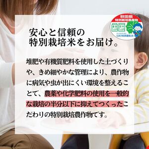 《定期便4ヶ月》 玄米 特別栽培米 秋田県産 あきたこまち 米屋が認めたお米 「かとうくん」15kg（5kg×3袋）×4回 合計60kg