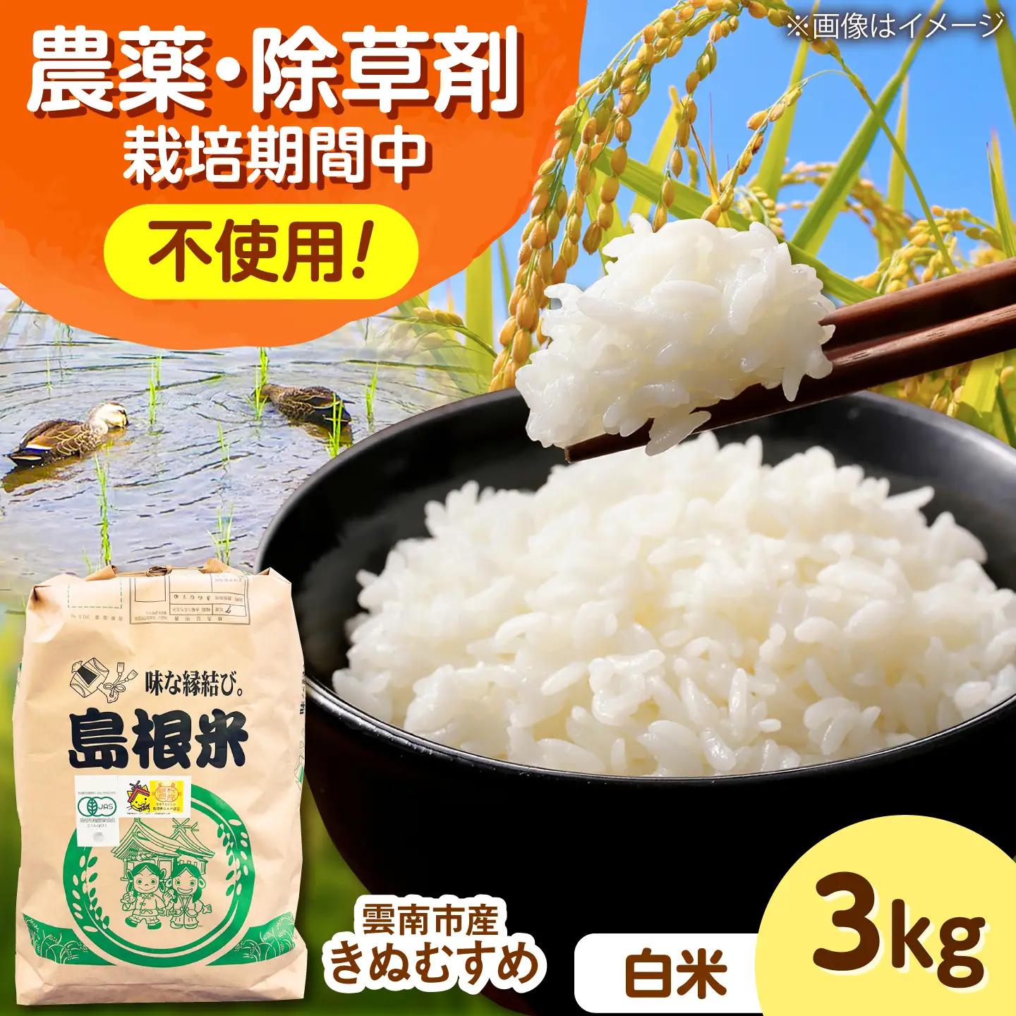 【有機JAS認証】有機栽培米きぬむすめ 3kg 令和7年産 精米 白米 島根県雲南市/佐藤ファーム[AIEO001]