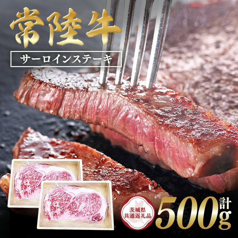 【ふるさと納税】常陸牛　サーロインステーキ500g（250g ×2）【茨城県共通返礼品 / 茨城県産】 C09-011