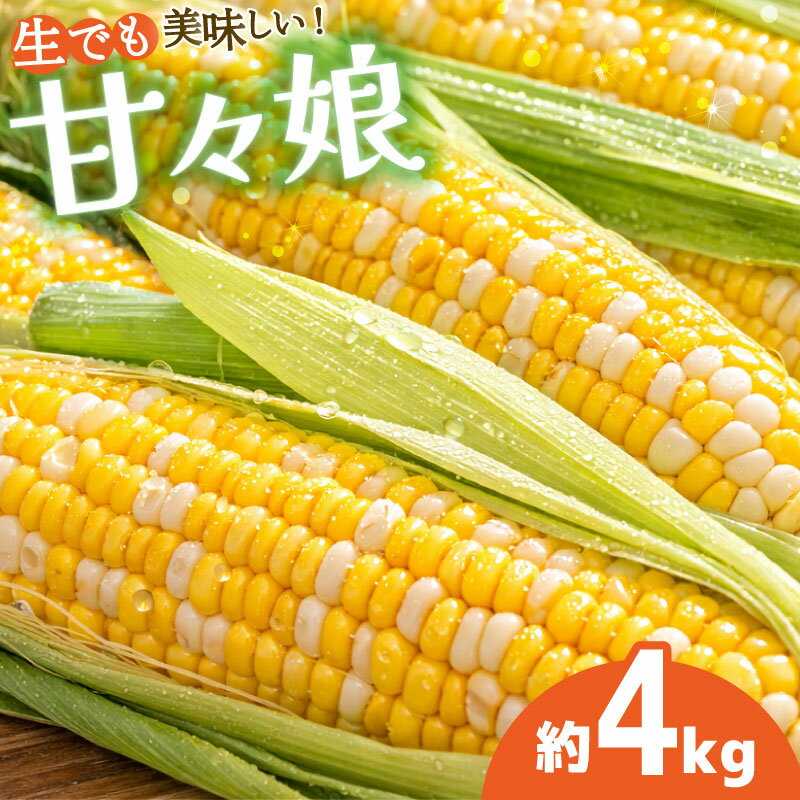 【ふるさと納税】 とうもろこし 甘々娘 4kg 先行予約 レシピ付き トウモロコシ コーン スイートコーン 甘い とうもろこしご飯 期間限定 夏 旬 野菜 炒め物 コーンスープ サラダ BBQ 弁当 惣菜 おかず 森商店 徳島県 吉野川市