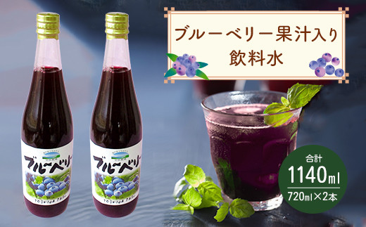 
岡垣町産 ブルーベリー 果汁入り 飲料水 2本 セット
