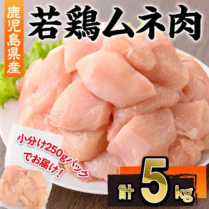 鹿児島県産 若鶏 ムネ肉 (計5kg・250g×20P)  冷凍 【株式会社羽根】A1090