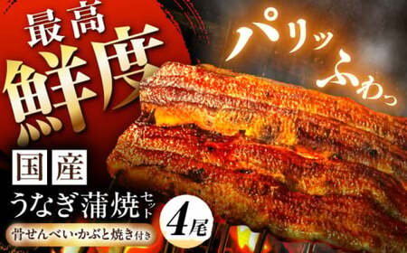 鰻【備長炭】国産 うなぎの蒲焼 4尾セット 鰻 白川町 / 多幸八[AWBL003]