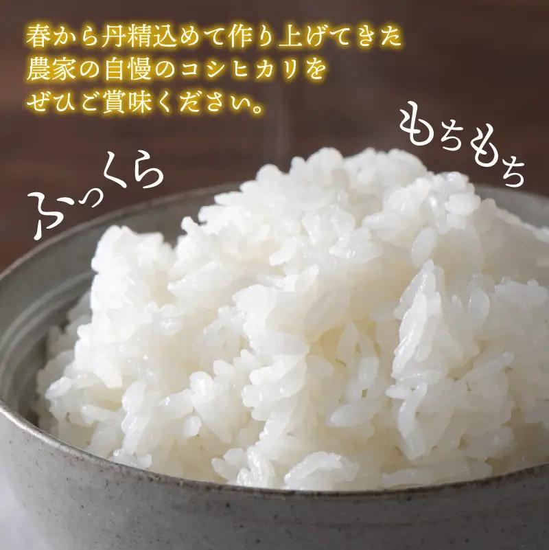 米 令和7年度 新米 コシヒカリ 白山の恵み 精米 10kg [B-009013]