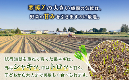 岩手県盛岡市産土付き長ネギ 1kg ねぎ 新鮮 野菜 長ネギ 白ネギ 長ねぎ 白ねぎ 葱 土付き 国産 甘い 美味しい おいしい 鍋
