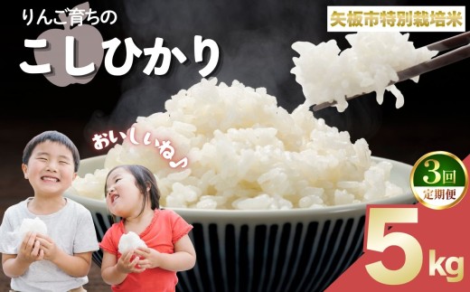 【定期便3回】お米 矢板市特別栽培米「コシヒカリ」りんご育ちの こしひかり 5kg
