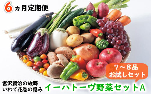 【定期便６ヶ月コース】イーハトーヴ野菜A お試しセット  7～8品 詰め合わせ 【294】