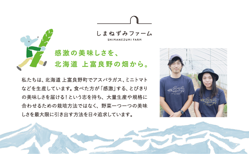 先行予約 【 2026年 発送 ！】 北海道 上富良野産 ホワイトアスパラガス 3L サイズ 400g アスパラ ホワイト アスパラガス 上富良野町 令和7年発送 野菜 やさい