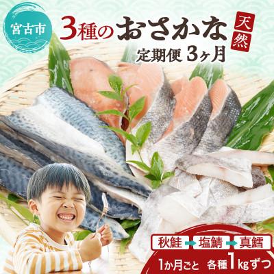 ふるさと納税 宮古市 【3ヵ月毎定期便】三陸で獲れた人気の天然魚3種セットの定期便全3回