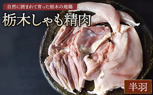 
            栃木しゃも精肉　半羽　※離島への配送不可
          