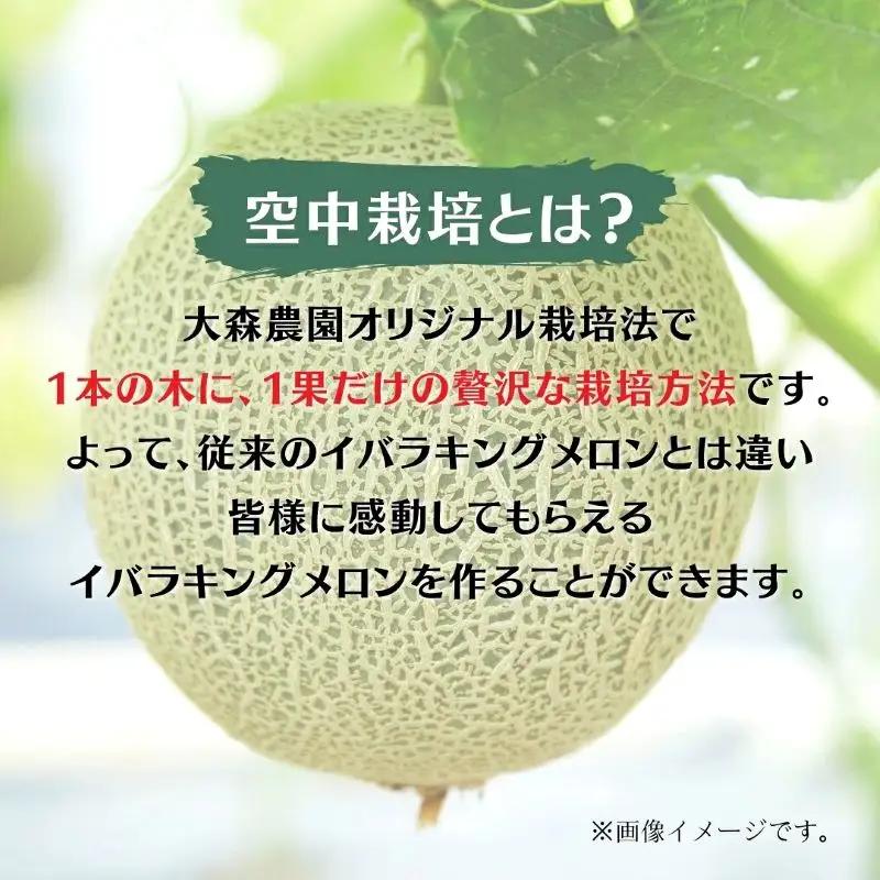 イバラキングメロン 鉾田市 青肉メロン 青肉 イバラキング【2玉】