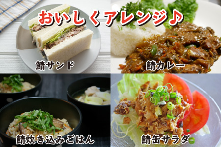 鯖味付缶詰 【唐辛子入】 24缶 サバ缶 おつまみ 保存食 [D-003012]