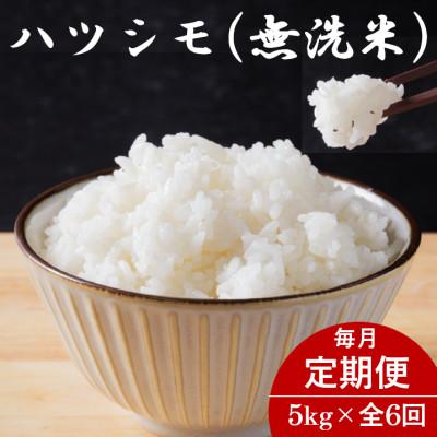 ふるさと納税 羽島市 【毎月定期便】岐阜県産ハツシモ(無洗米) 5kg全6回