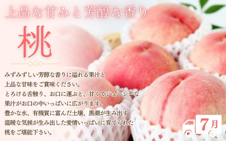 【2・7・9月 全3回】紀州和歌山産旬のフルーツセット（いちご・桃・巨峰）【UT96】