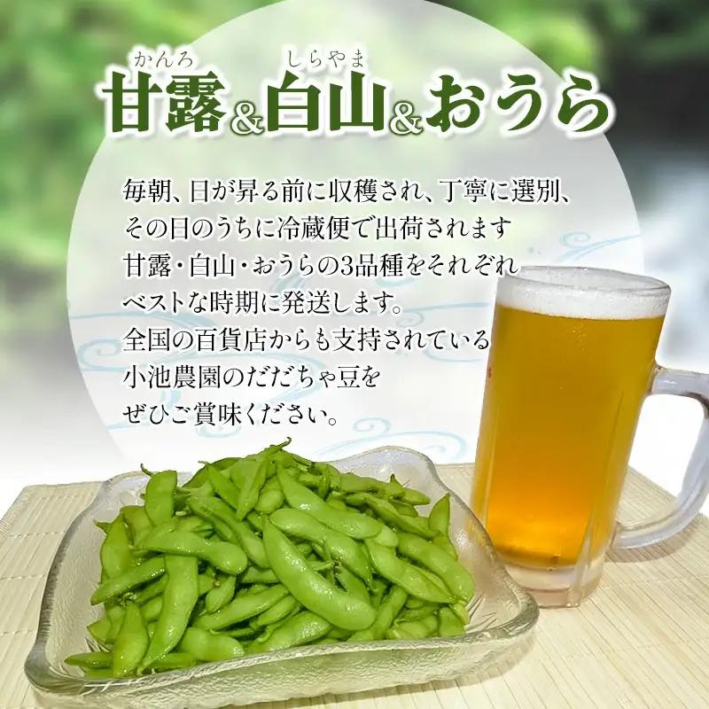 【令和8年産先行予約】【3回定期便】【鶴岡の夏の旬を伝える】 小池農園のだだちゃ豆 【甘露・白山・おうら】 1.8Kg（600g×3袋）K-832