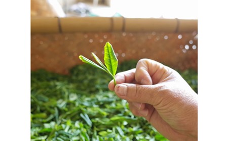 早摘み煎茶いちばん星100ｇ入×3本 (新茶 緑茶