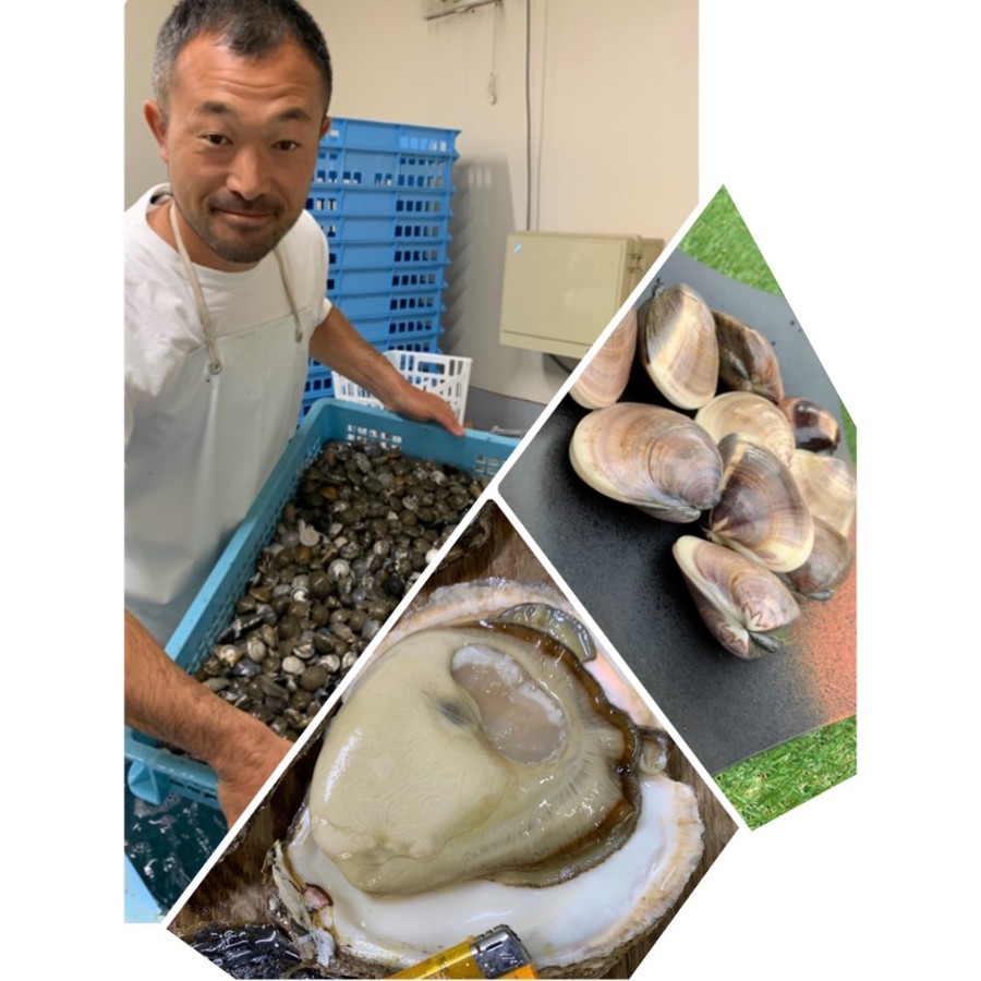 やわらか蛤中サイズ3kg入り