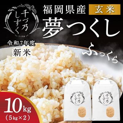 ふるさと納税 苅田町 【令和7年産 新米先行受付】福岡県産 夢つくし【千づ乃しずく】10kg(5kg×2袋) 玄米