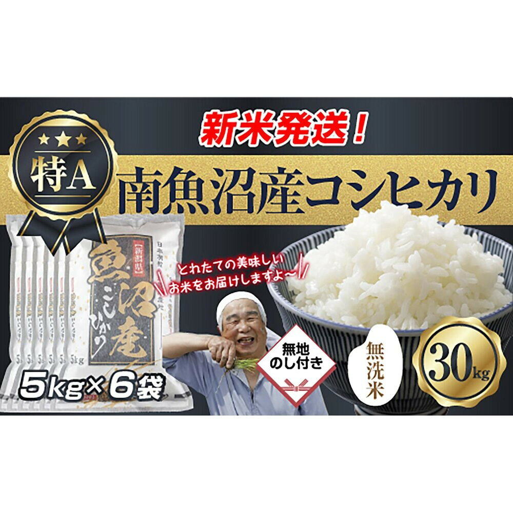 【ふるさと納税】【令和8年産　新米予約】無地のし 「無洗米」 新潟県 南魚沼産 コシヒカリ お米 5kg×6袋 計 30kg 精米済み（お米の美味しい炊き方ガイド付き） お米 こめ 白米 こしひかり 魚沼 南魚沼 南魚沼市 【2026年10月中旬より1ヶ月以内に順次発送予定】