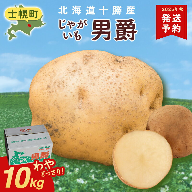 【ふるさと納税】≪25年10月より順次発送≫じゃがいも 10kg 北海道 十勝 男爵だんしゃく 男爵いも 男爵薯 ジャガイモ じゃがいも 芋 ポテト 北海道 十勝産 大容量 自宅用 家族 お弁当 まとめ買い ギフト 贈り物 お取り寄せ 送料無料 十勝 士幌町 9000円