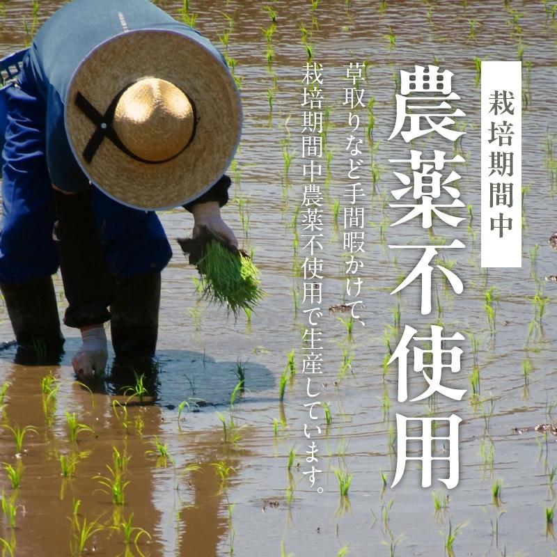 米 1kg N0182-YA0507