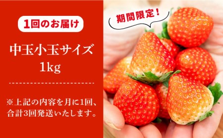 【先行予約受付中】【全3回定期便】 《R6年2月～4月出荷》お徳用 いちご 1kg 苺 バラ詰め ゆめのか 恋みのり ゴロゴロ生 イチゴ 中玉小玉サイズ 《壱岐市》【蒼花】 [JEO004] 2700