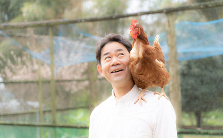 竹林かぐや姫オメガたまご　36個入 たまご 卵【株式会社 緒方エッグファーム】[AYBG002]
