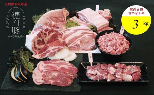 No.841 坂東市産の豚肉バラエティセット　約3kg ／ 背ロース 肩ロース バラ もも 小間切れ ひき肉 うま味 セット 茨城県