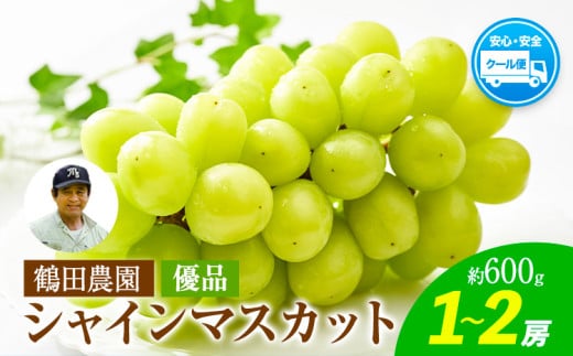 【優品】先行予約 シャインマスカット 鶴田農園 約600g (1～2房) 熊本県荒尾市産《8月下旬-9月下旬頃出荷》熊本県 荒尾市 フルーツ 果物 送料無料 葡萄 ぶどう マスカット