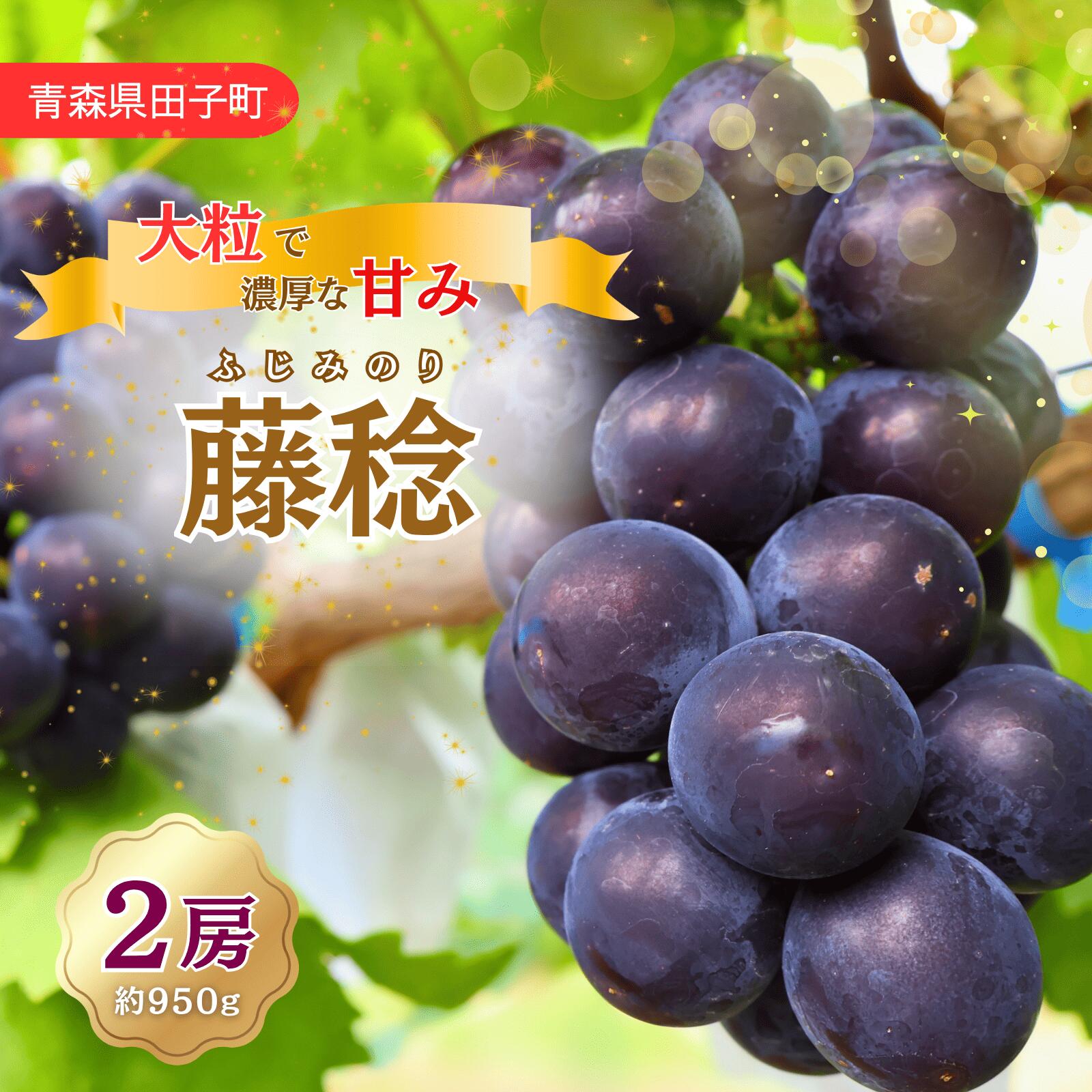 【ふるさと納税】青森県田子町産　ぶどう「藤稔」 1kg　出荷開始：9月10日〜9月21日まで