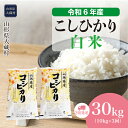 【ふるさと納税】＜令和6年産米＞ 大蔵村 コシヒカリ ＜白米＞ 30kg 定期便（10kg×3回お届け）