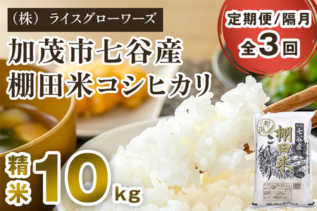 【令和8年産新米先行予約】【定期便3回隔月お届け】七谷産 棚田米コシヒカリ 精米10kg（5kg×2）《10月上旬～順次出荷》 白米 （株）ライスグローワーズ