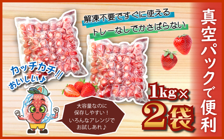 冷凍 あまおう カチカチ君 (1kg×2袋)  冷凍あまおう いちご 苺 冷凍いちご 3W14