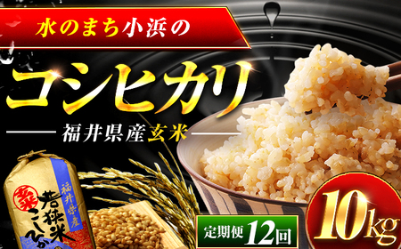 【新米】【12回定期便】 福井県産 コシヒカリ 玄米 10kg 一等級 /甘みと粘りが自慢 王道米 こしひかり 小浜市 / 若狭ふれいあい市場[BFEL017]