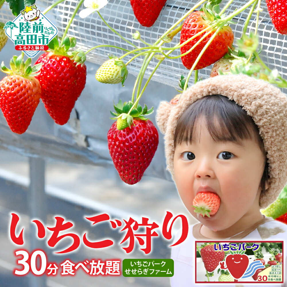【ふるさと納税】いちご狩り 30分食べ放題 チケット 【せせらぎ いちごパーク】[ いちご イチゴ 苺 フルーツ 果物 食べ放題 旬 現地 体験 人気 おすすめ 紅ほっぺ 恋みのり 桃薫 あまえくぼ やよいひめ など 食べ比べ レジャー 岩手 陸前高田 ]