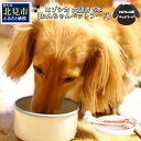 【ふるさと納税】エゾシカ大腿骨 5本 ( 犬 えさ 餌 犬の餌 ペットフード 鹿 エゾシカ肉 鹿肉 健康 おやつ 骨 )