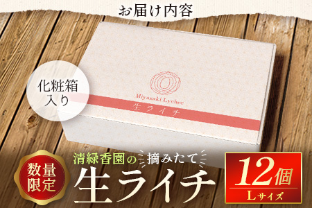 『数量限定』『期間限定』清緑香園の摘みたて「生ライチ」12個 宮崎県産 先行予約【C235】