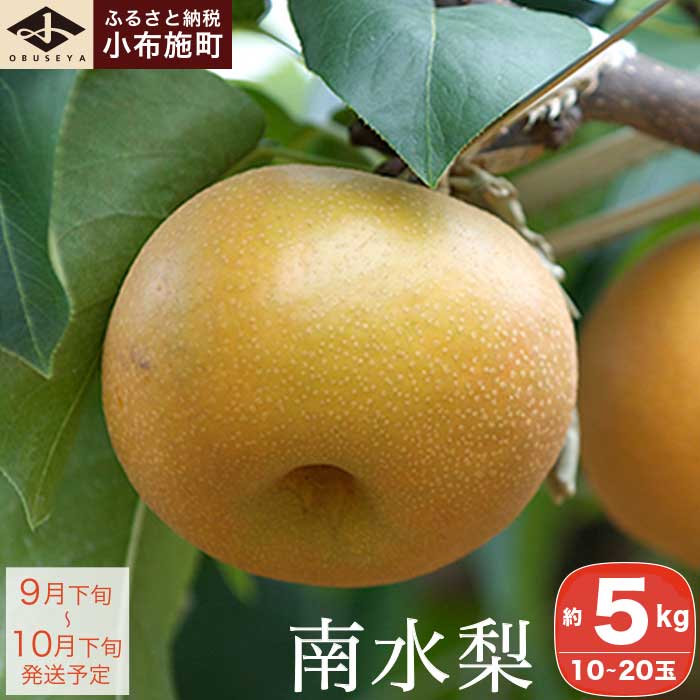 南水梨 約5kg 10～20玉 ［小布施屋］果物 フルーツ なし 梨 先行予約 数量限定 贈答 ギフト 長野県産 信州産 令和7年産 【2025年9月下旬～10月下旬発送】